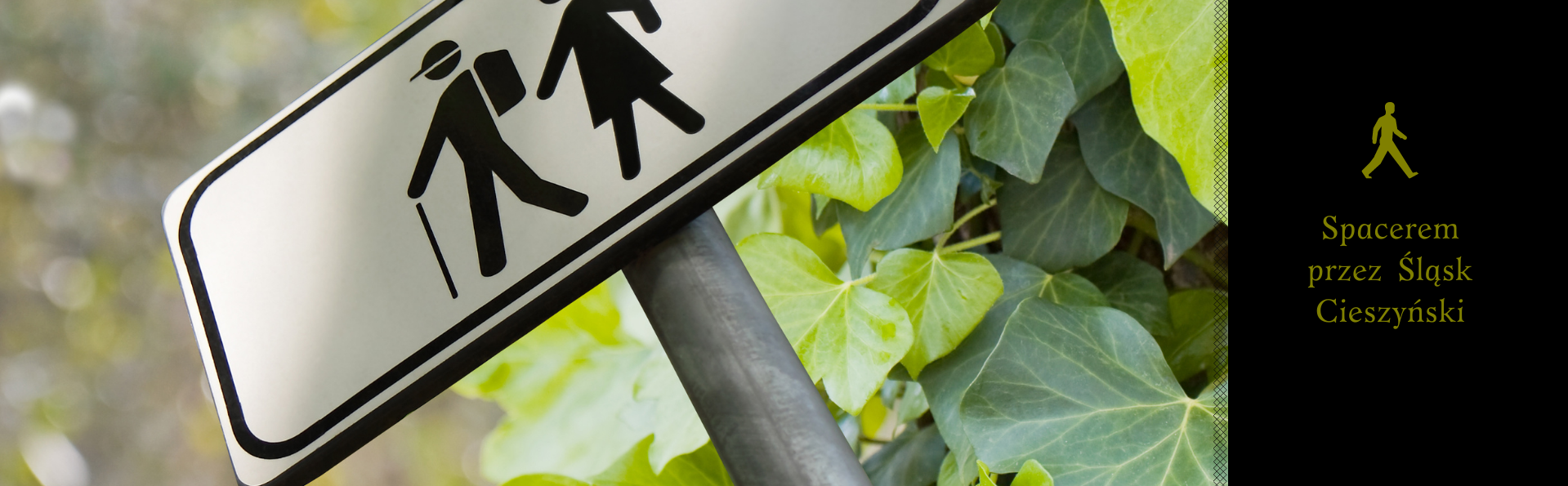 baner